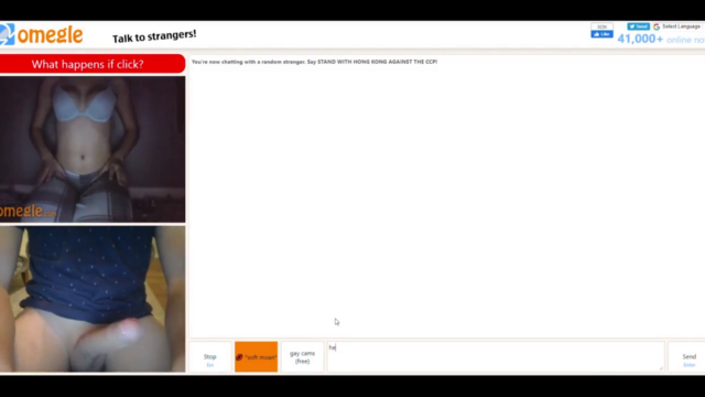 Omegle Worm 411 / Chat Fun